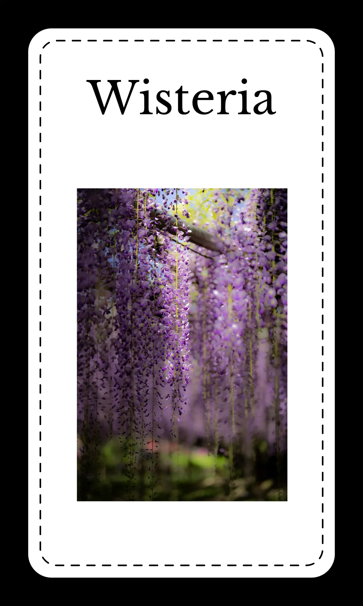 Free Creative Floral Alphabet Flashcards Template to Edit Online