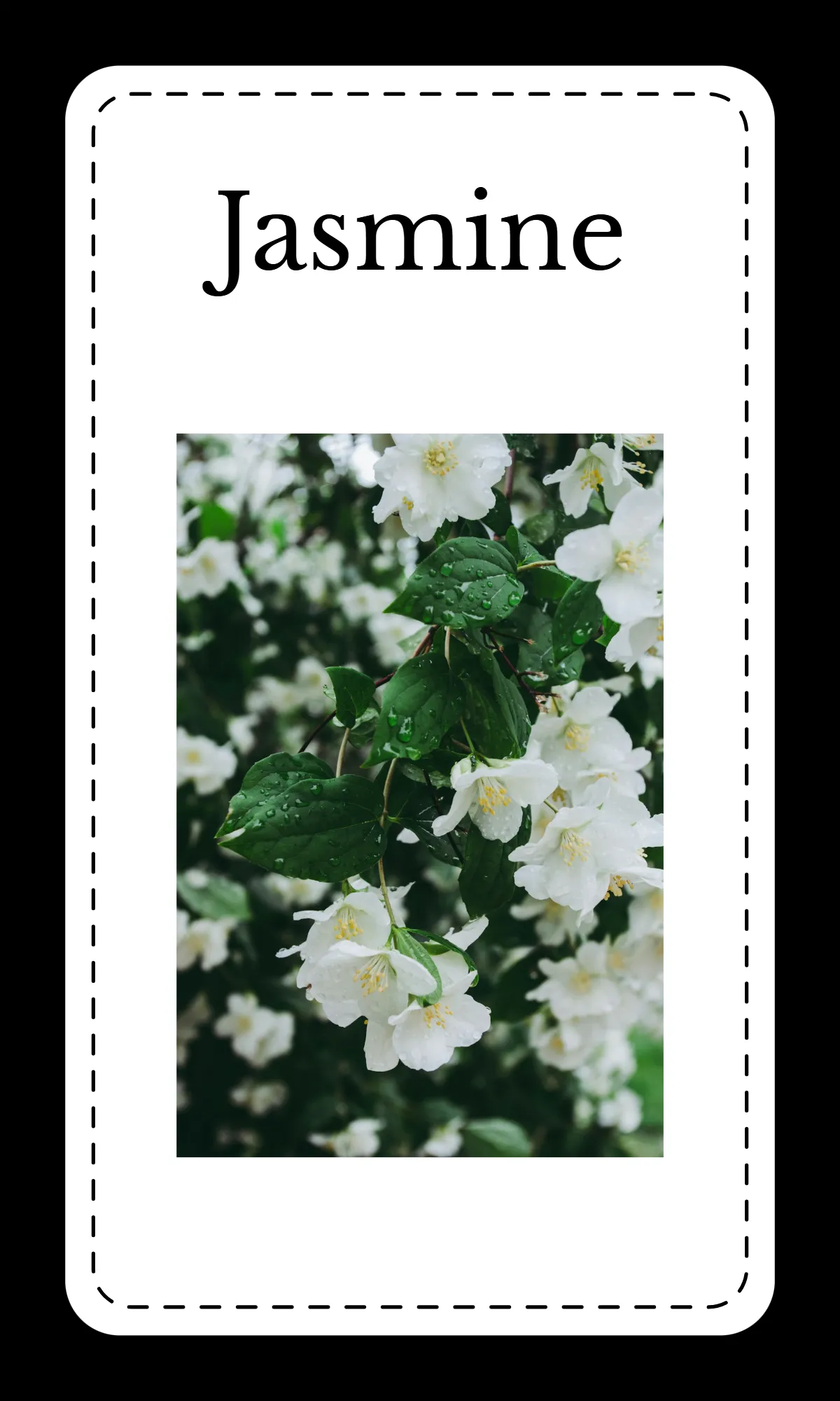 Free Creative Floral Alphabet Flashcards Template to Edit Online