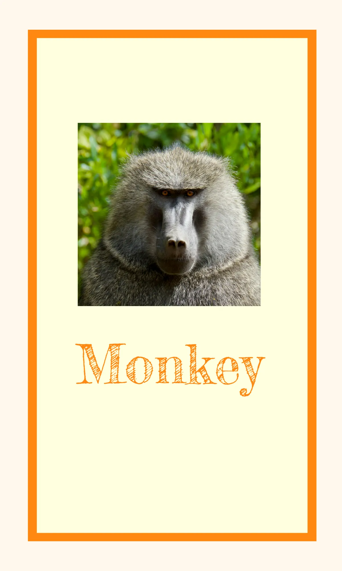 Free Alphabet Flashcards for Classroom Decor Template to Edit Online