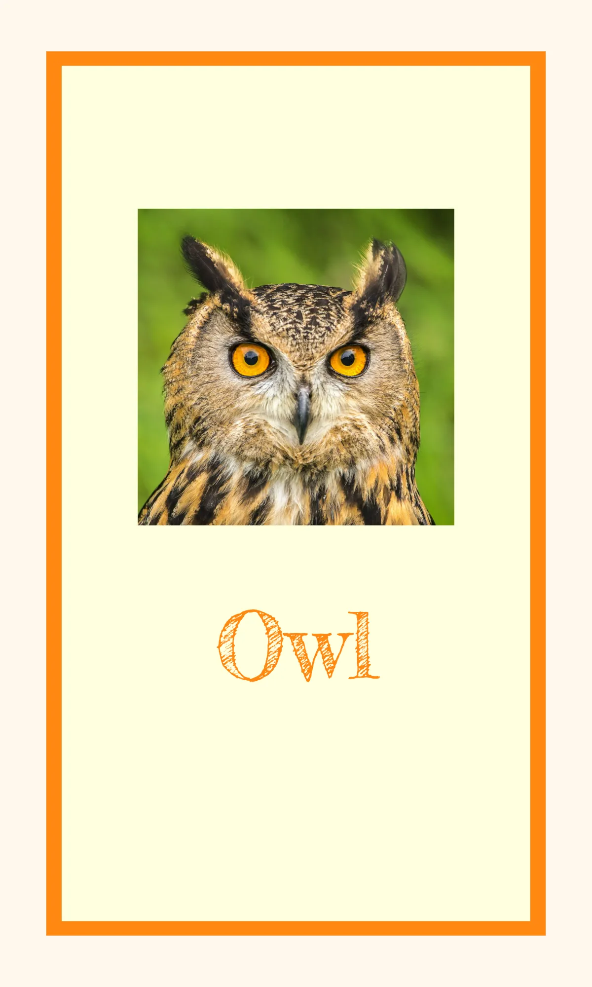 Free Alphabet Flashcards for Classroom Decor Template to Edit Online