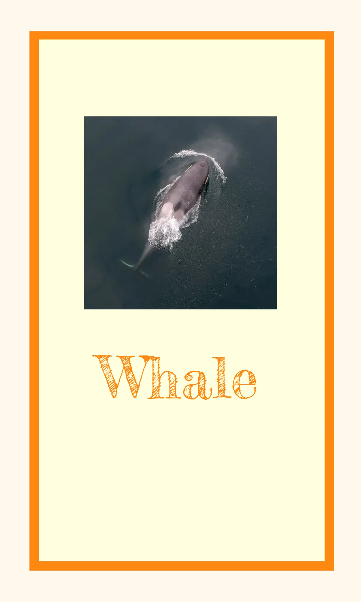 Free Alphabet Flashcards for Classroom Decor Template to Edit Online