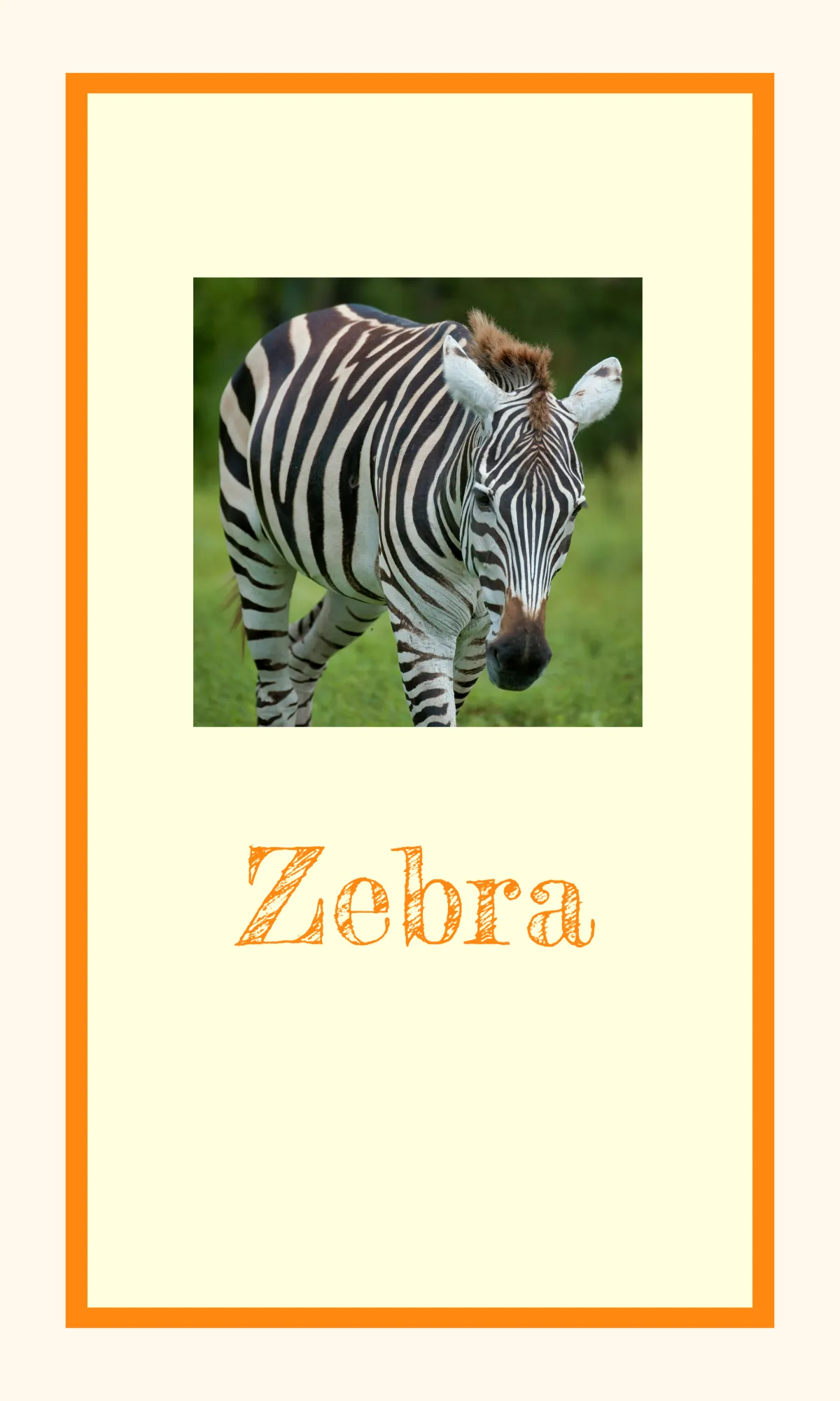 Free Alphabet Flashcards for Classroom Decor Template to Edit Online