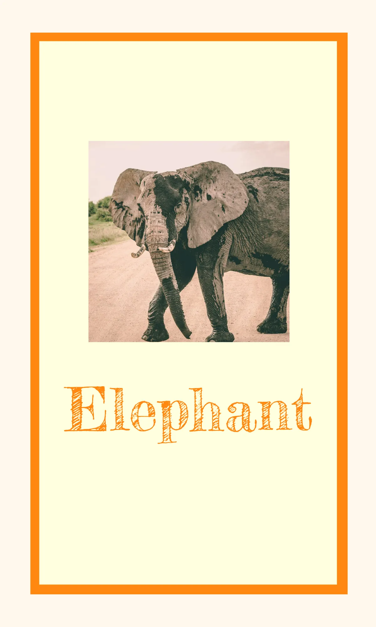 Free Alphabet Flashcards for Classroom Decor Template to Edit Online