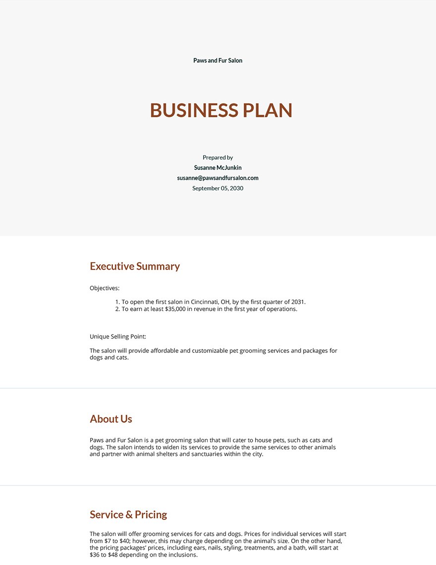 Financial Plan for Startup Business Example Template