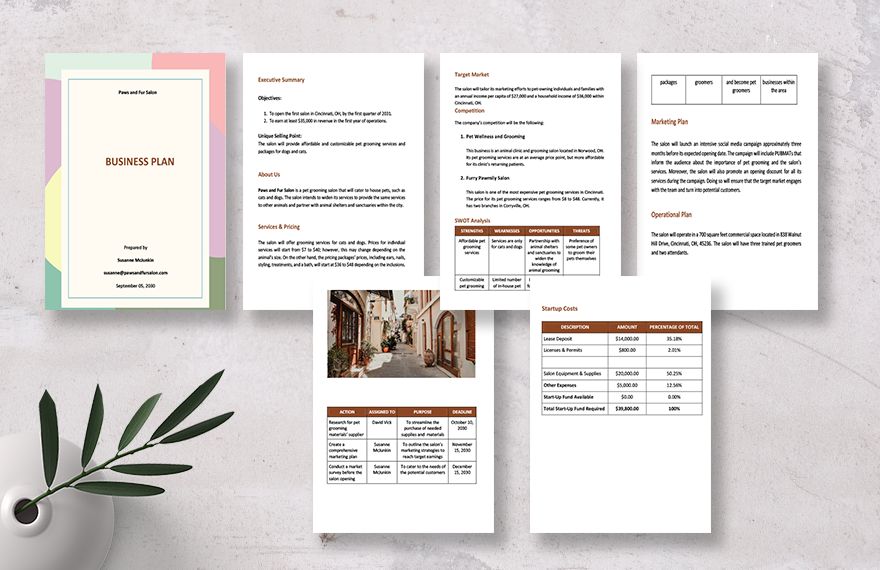 Financial Plan for Startup Business Example Template