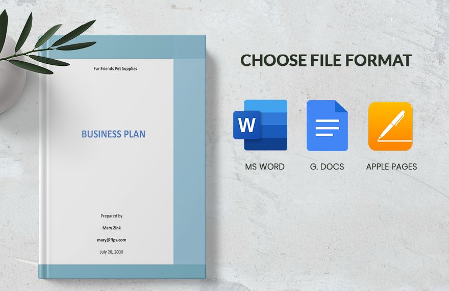 Business Plan Startup Costs Template