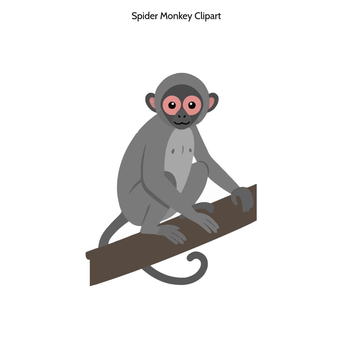Free Spider Monkey Clipart Template to Edit Online