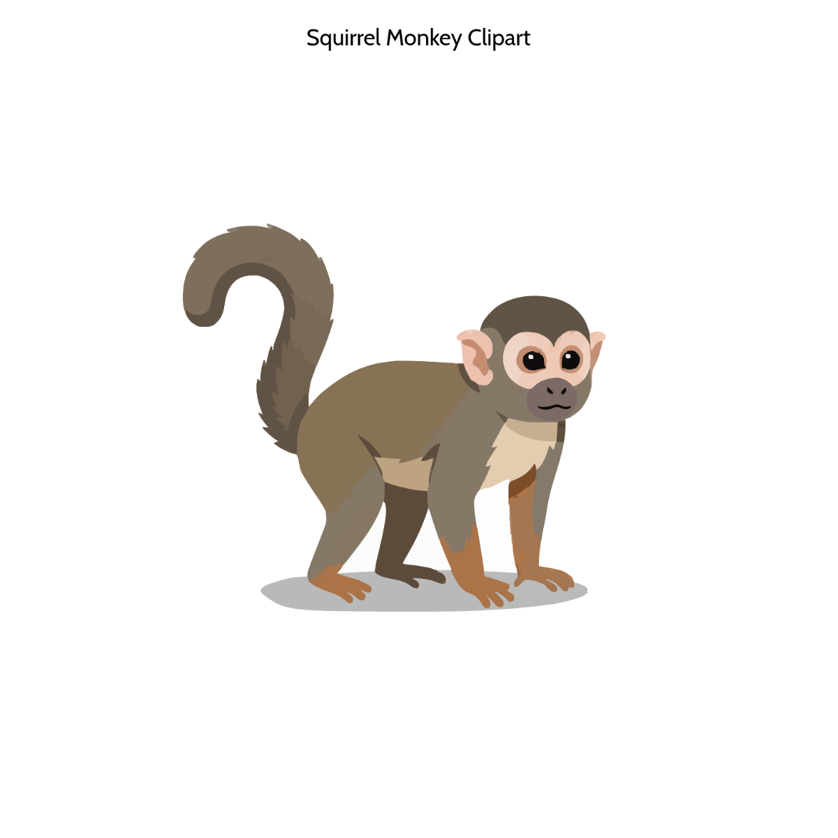 Free Squirrel Monkey Clipart to Edit Online