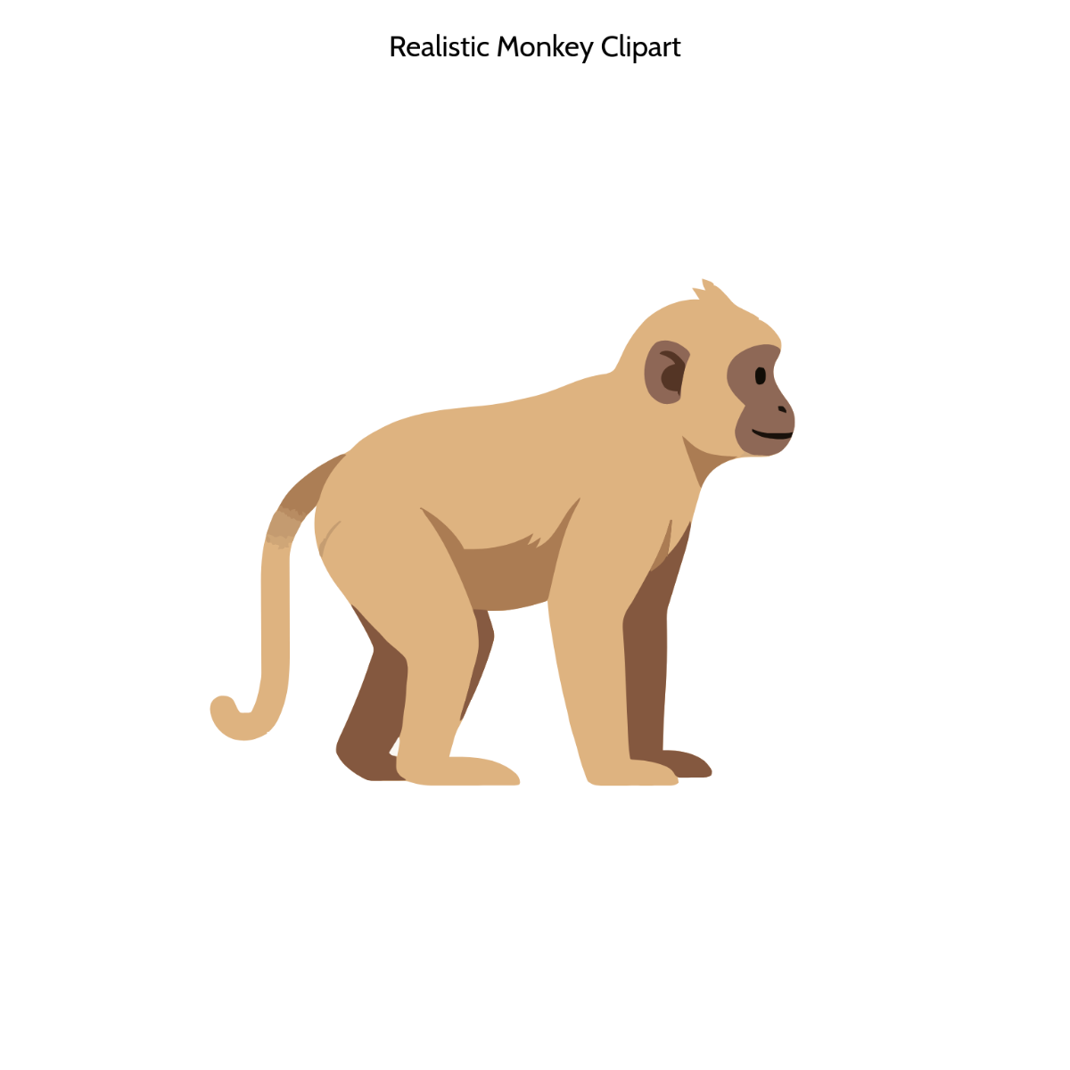 Free Realistic Monkey Clipart to Edit Online