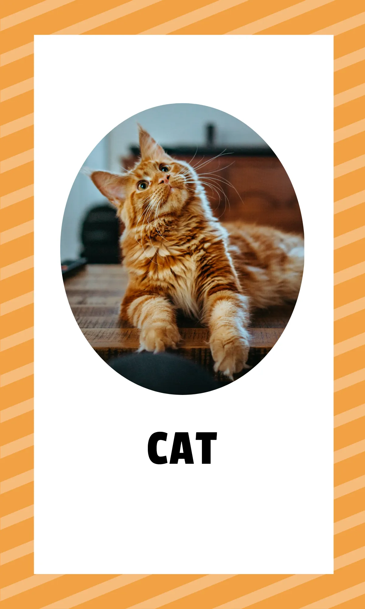 Free Alphabet Flashcards with Sight Words Template to Edit Online