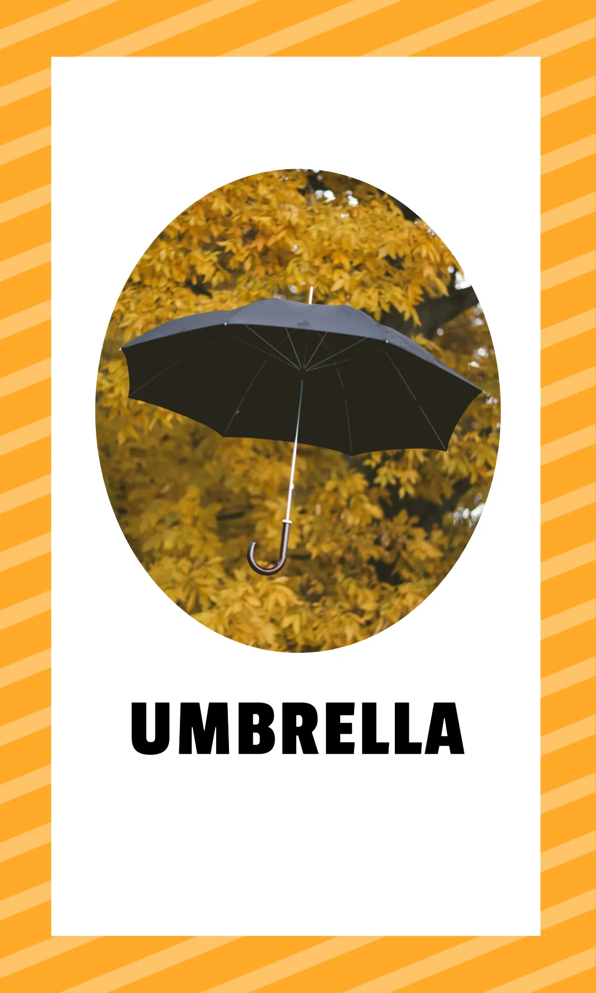 Free Alphabet Flashcards with Sight Words Template to Edit Online