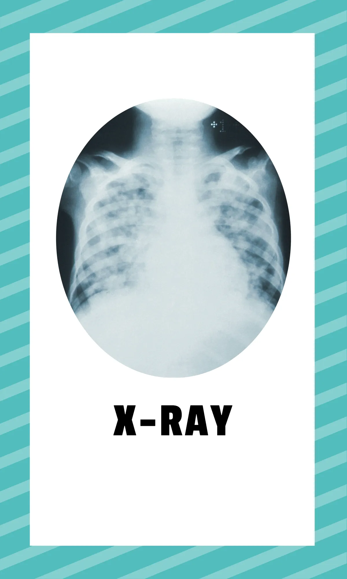 Free Alphabet Flashcards with Sight Words Template to Edit Online