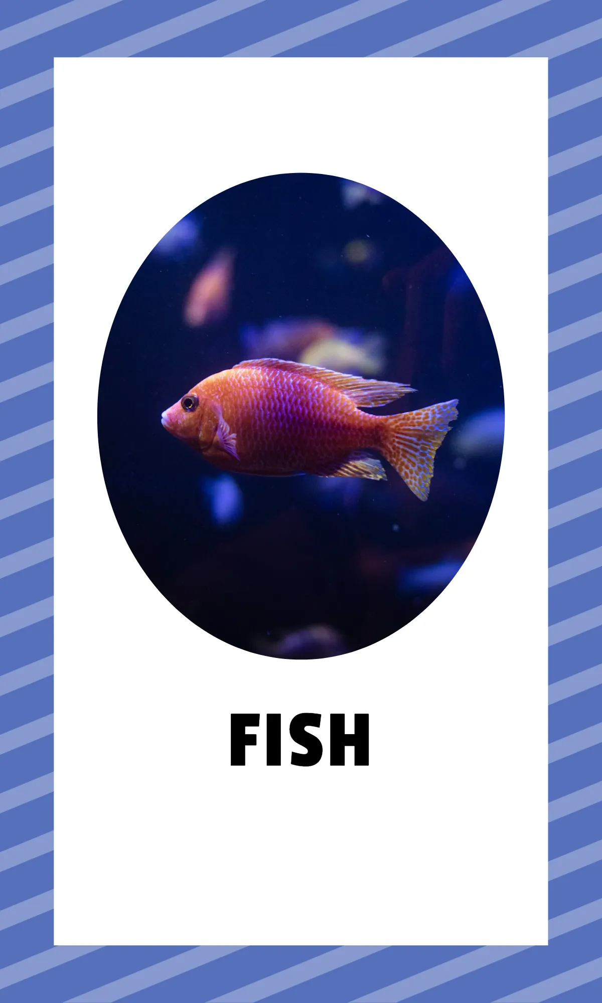 Free Alphabet Flashcards with Sight Words Template to Edit Online