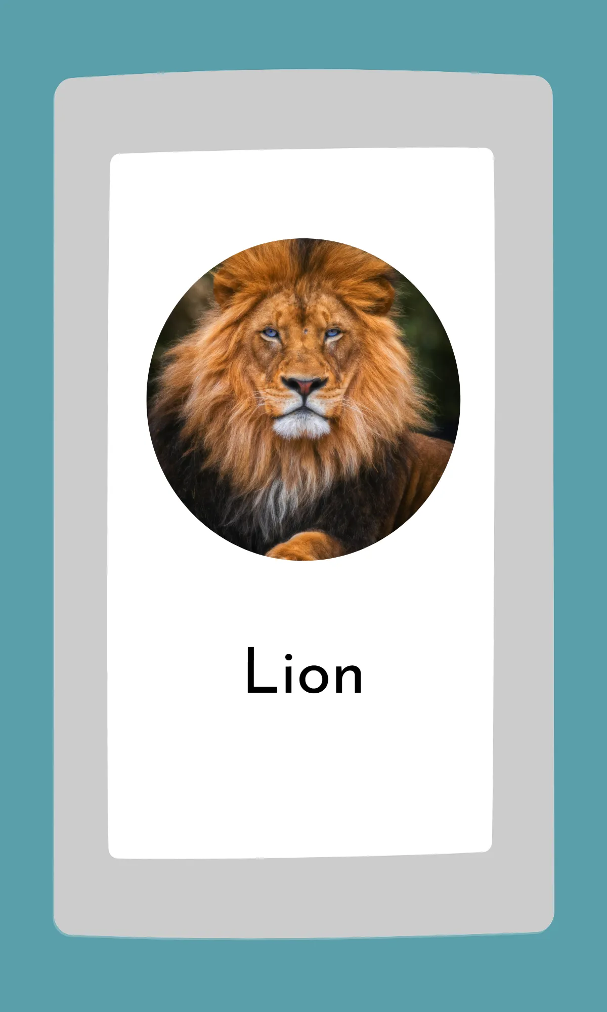 Free Cute Modern Alphabet Flashcards Template to Edit Online