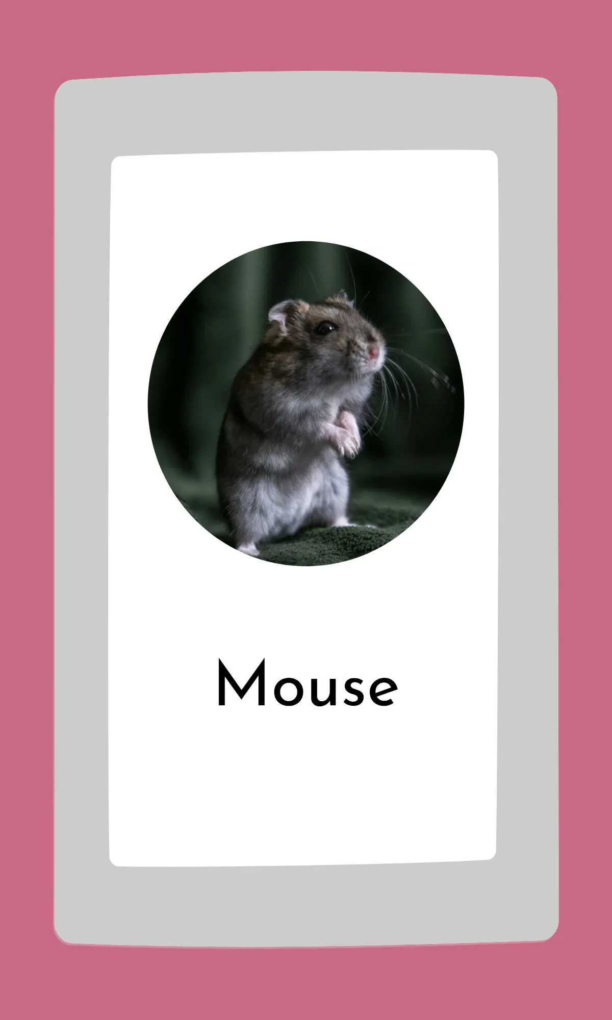 Free Cute Modern Alphabet Flashcards Template to Edit Online