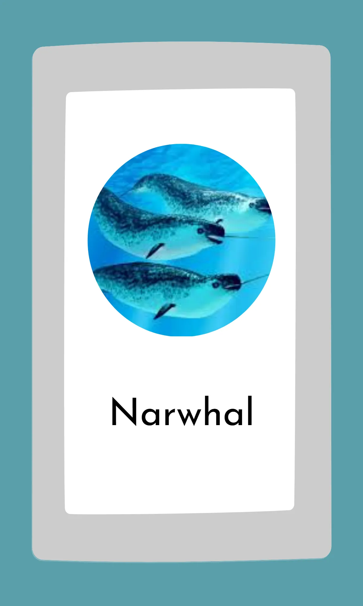 Free Cute Modern Alphabet Flashcards Template to Edit Online