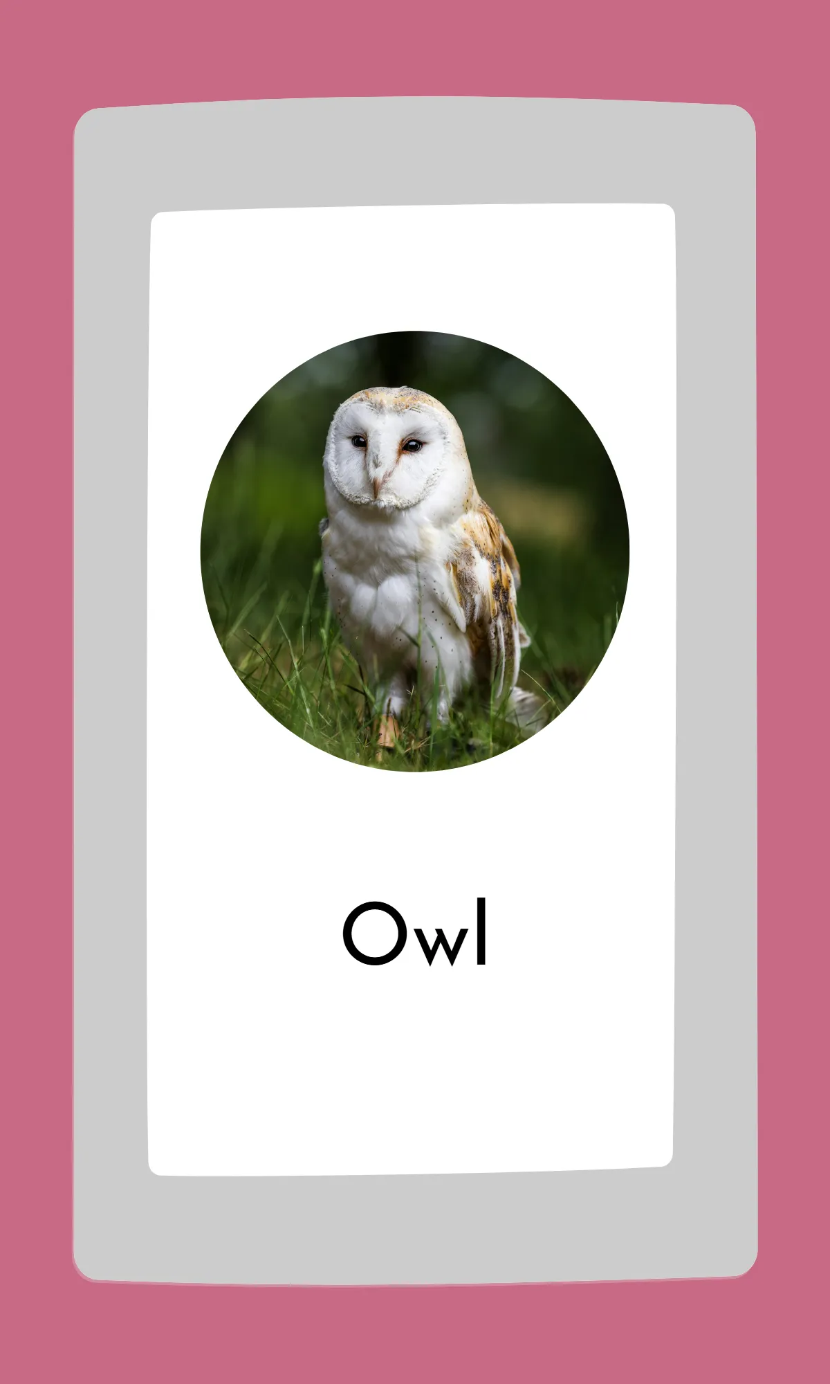 Free Cute Modern Alphabet Flashcards Template to Edit Online