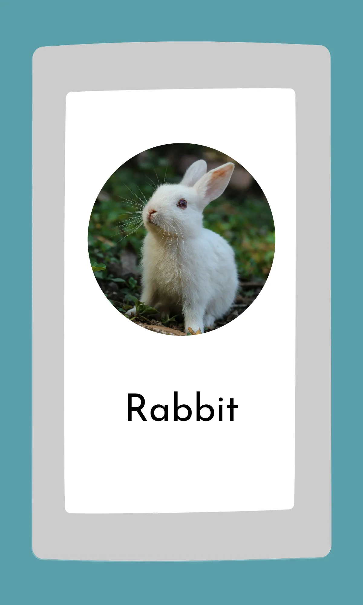 Free Cute Modern Alphabet Flashcards Template to Edit Online