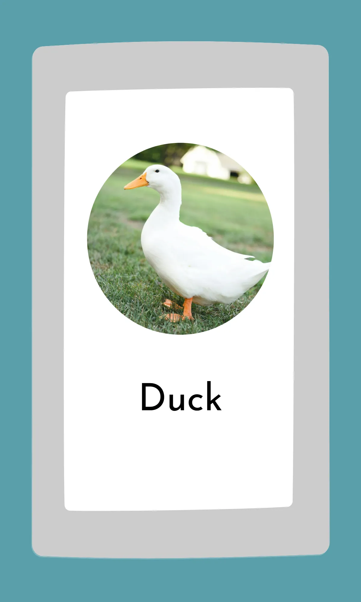 Free Cute Modern Alphabet Flashcards Template to Edit Online