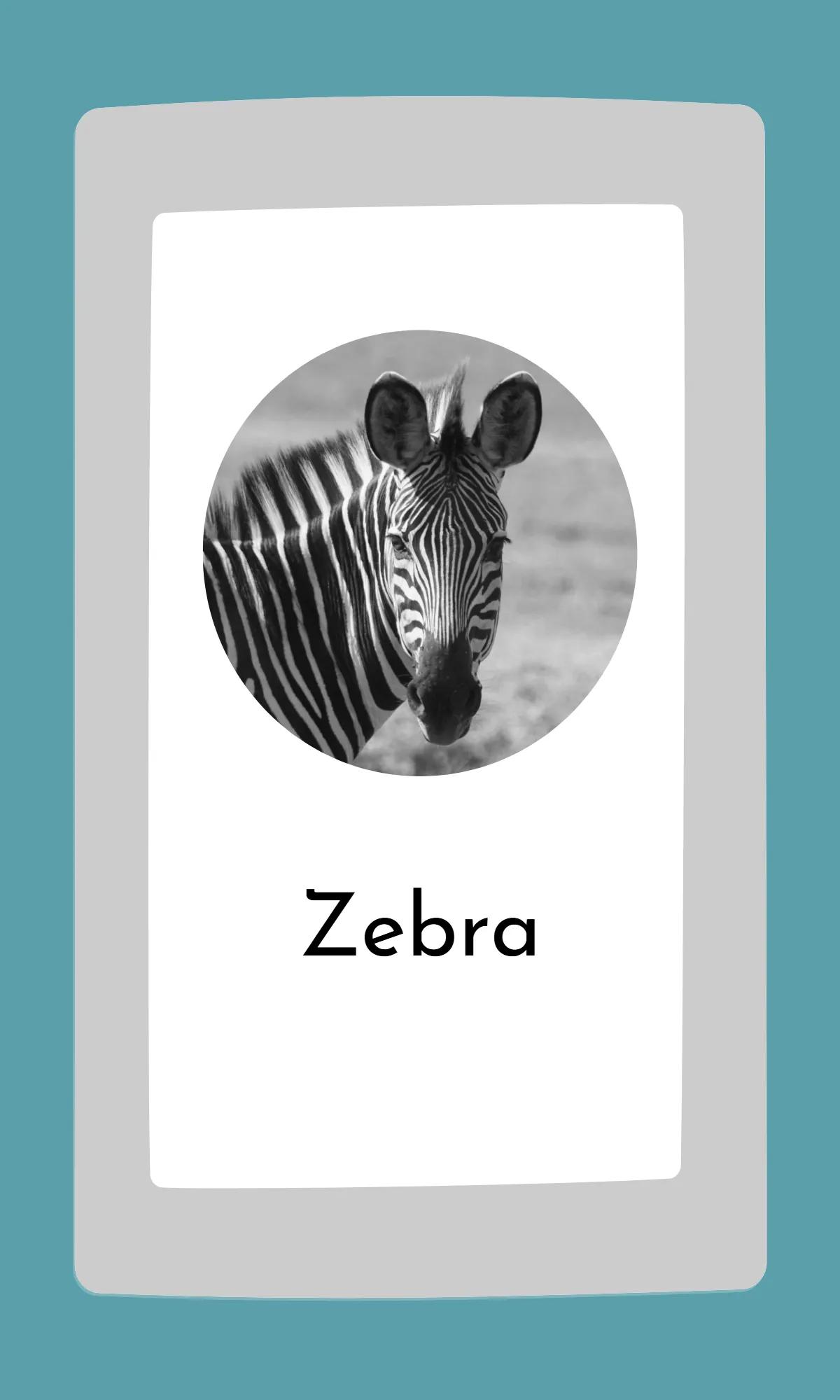 Free Cute Modern Alphabet Flashcards Template to Edit Online