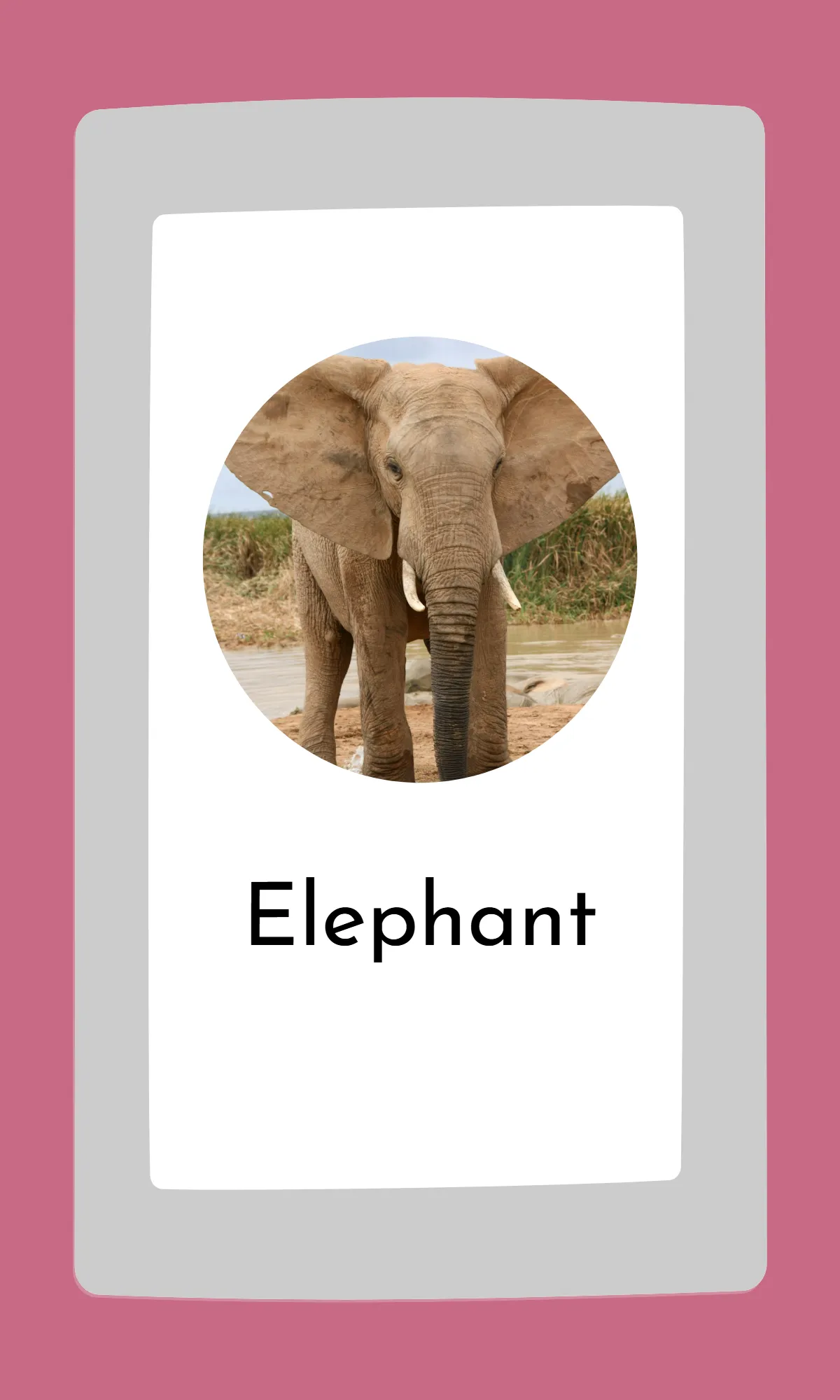 Free Cute Modern Alphabet Flashcards Template to Edit Online