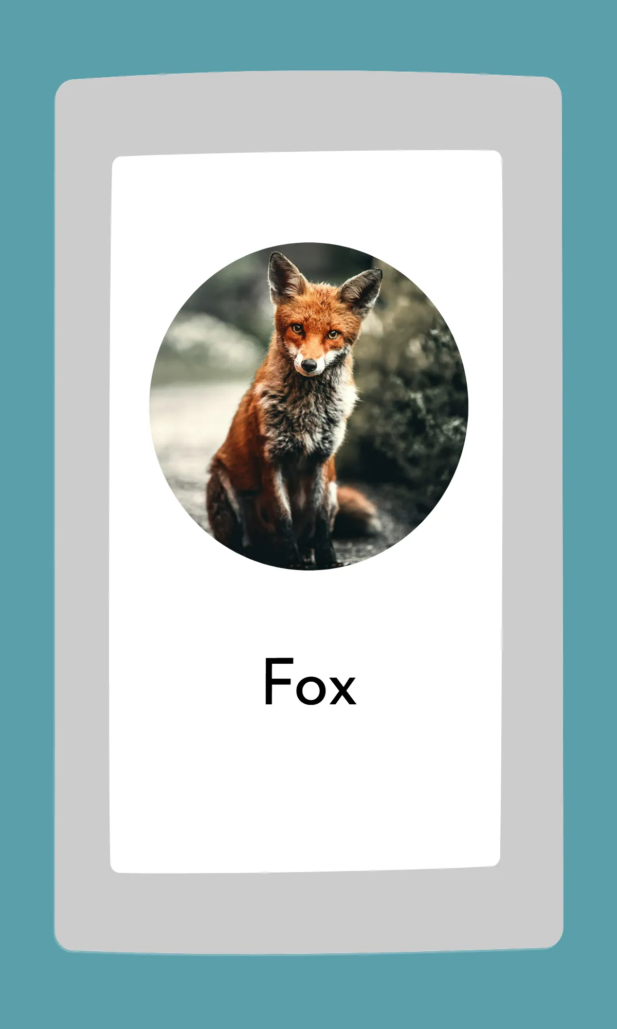 Free Cute Modern Alphabet Flashcards Template to Edit Online