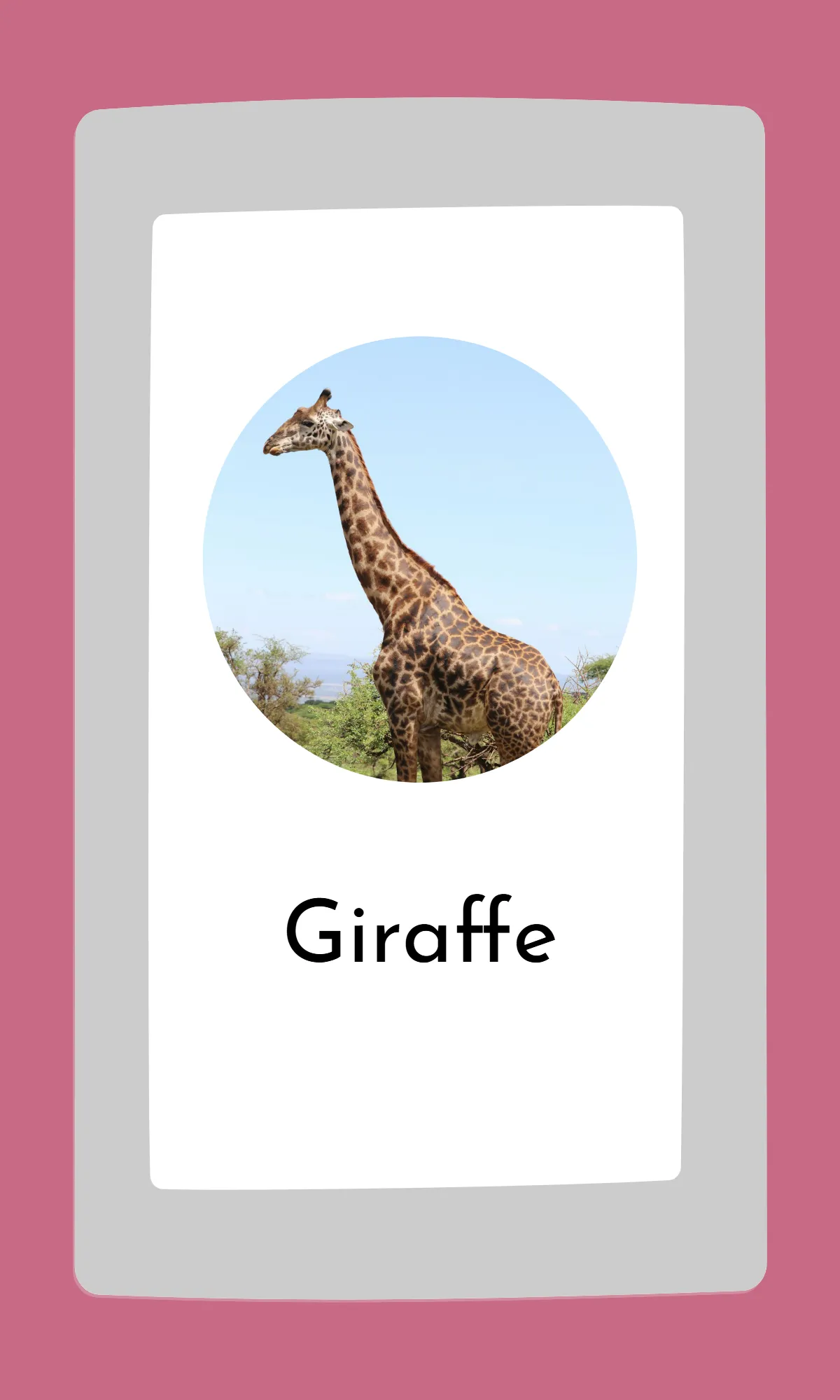 Free Cute Modern Alphabet Flashcards Template to Edit Online