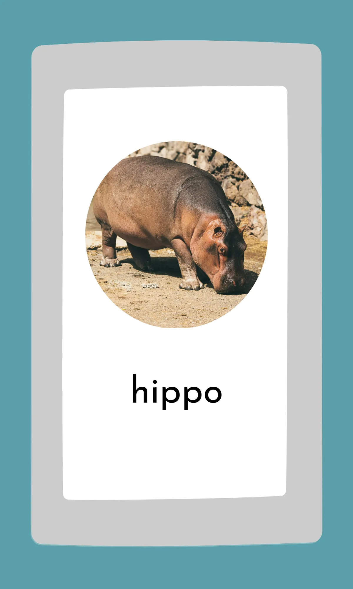 Free Cute Modern Alphabet Flashcards Template to Edit Online