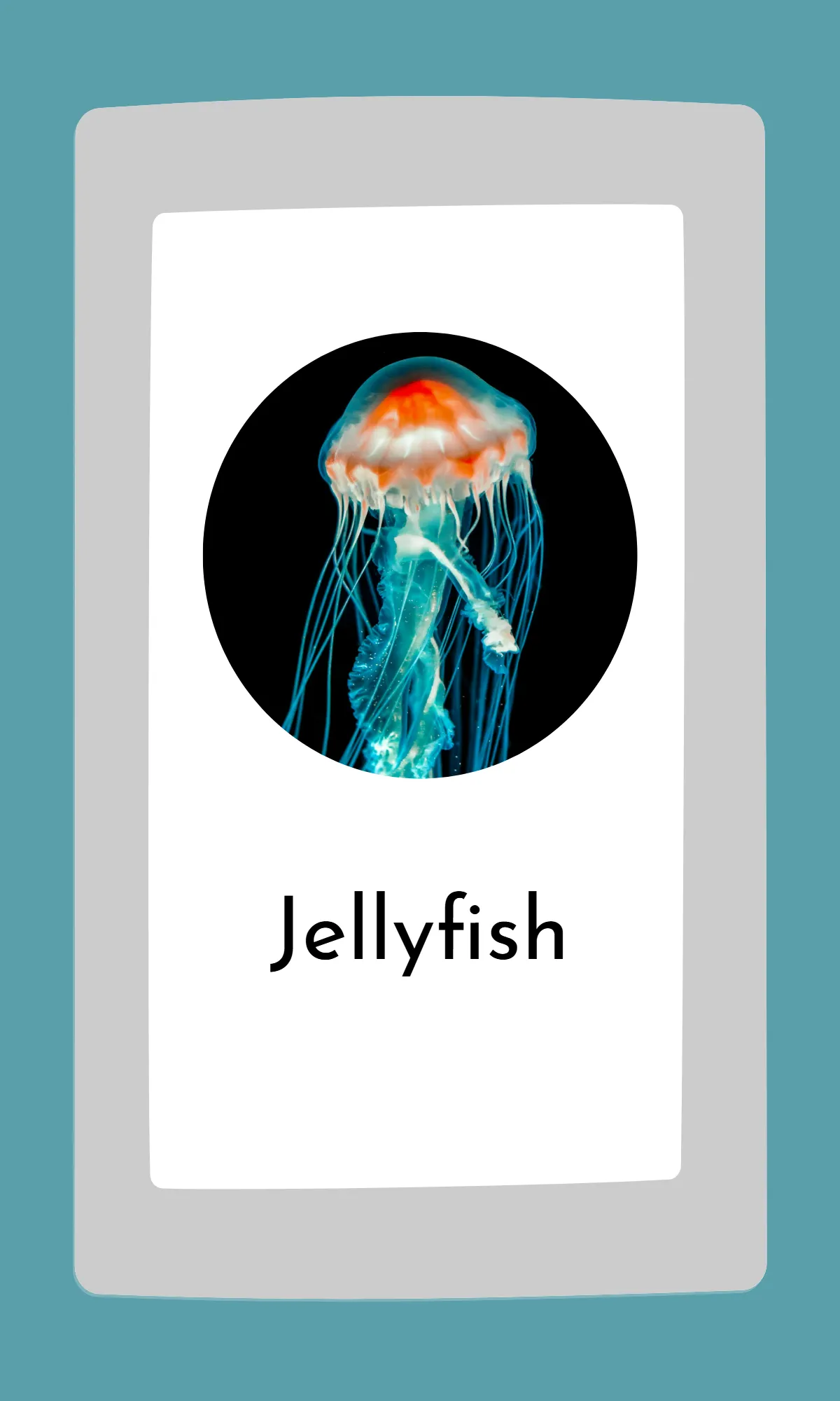 Free Cute Modern Alphabet Flashcards Template to Edit Online