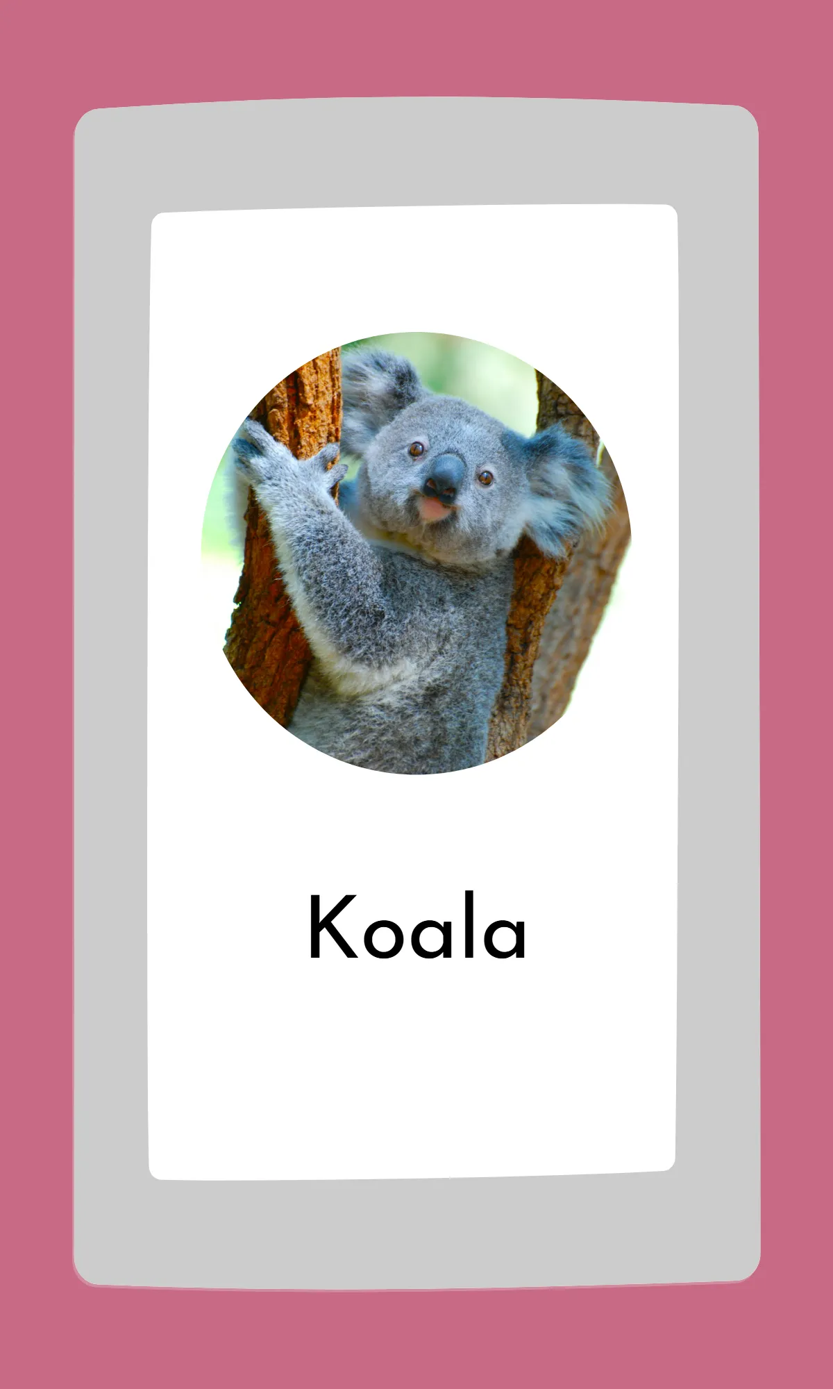 Free Cute Modern Alphabet Flashcards Template to Edit Online