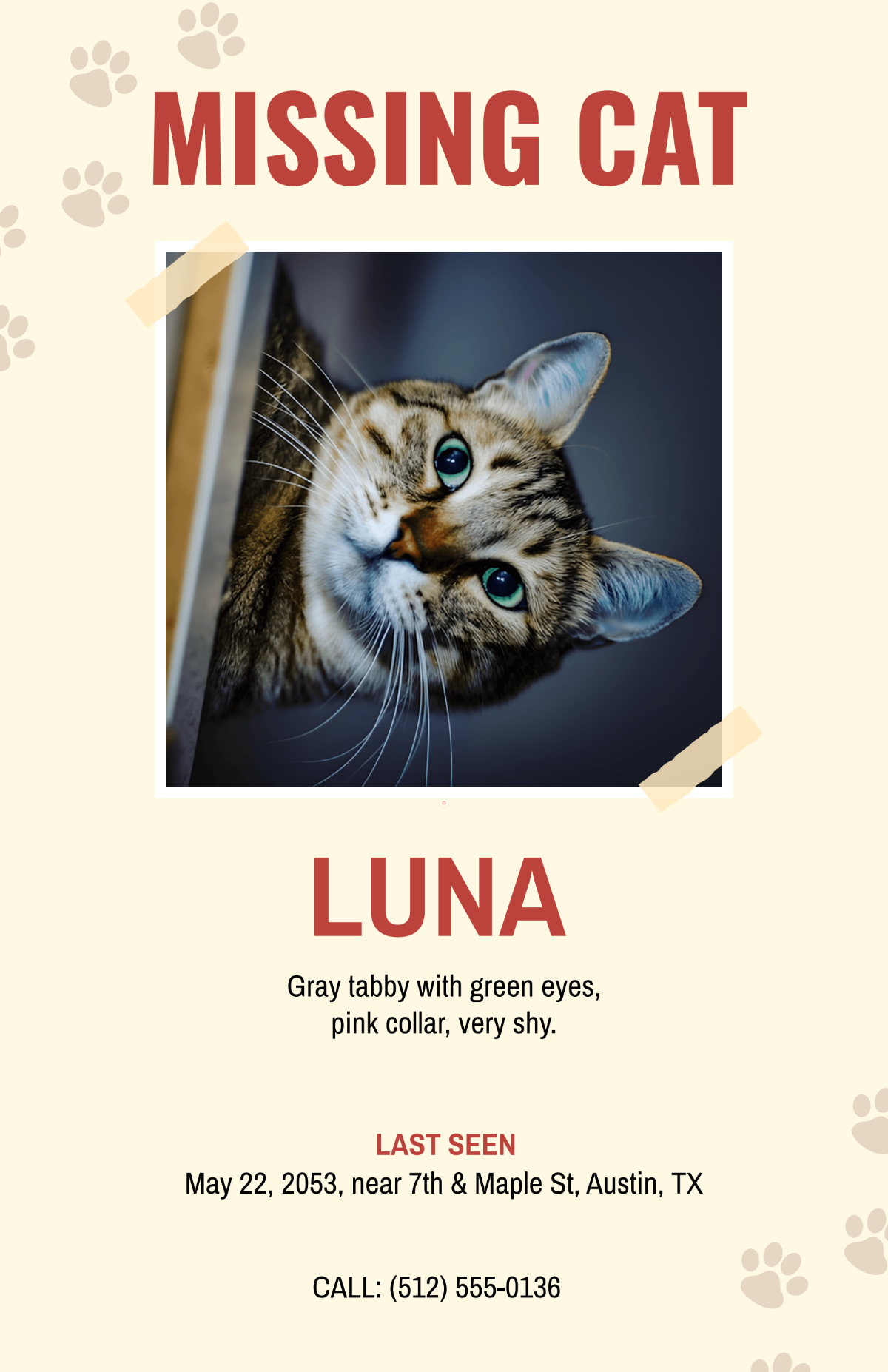 Free Missing Lost Cat Poster Template To Edit Online
