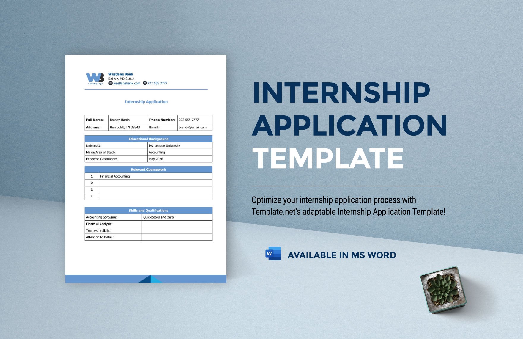 Internship Application Template