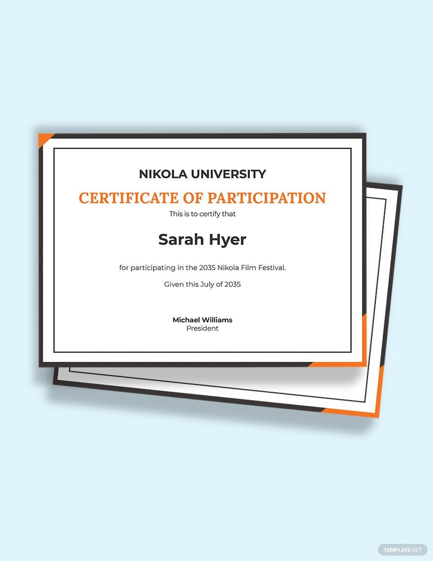 Blank Certificate of Participation Template