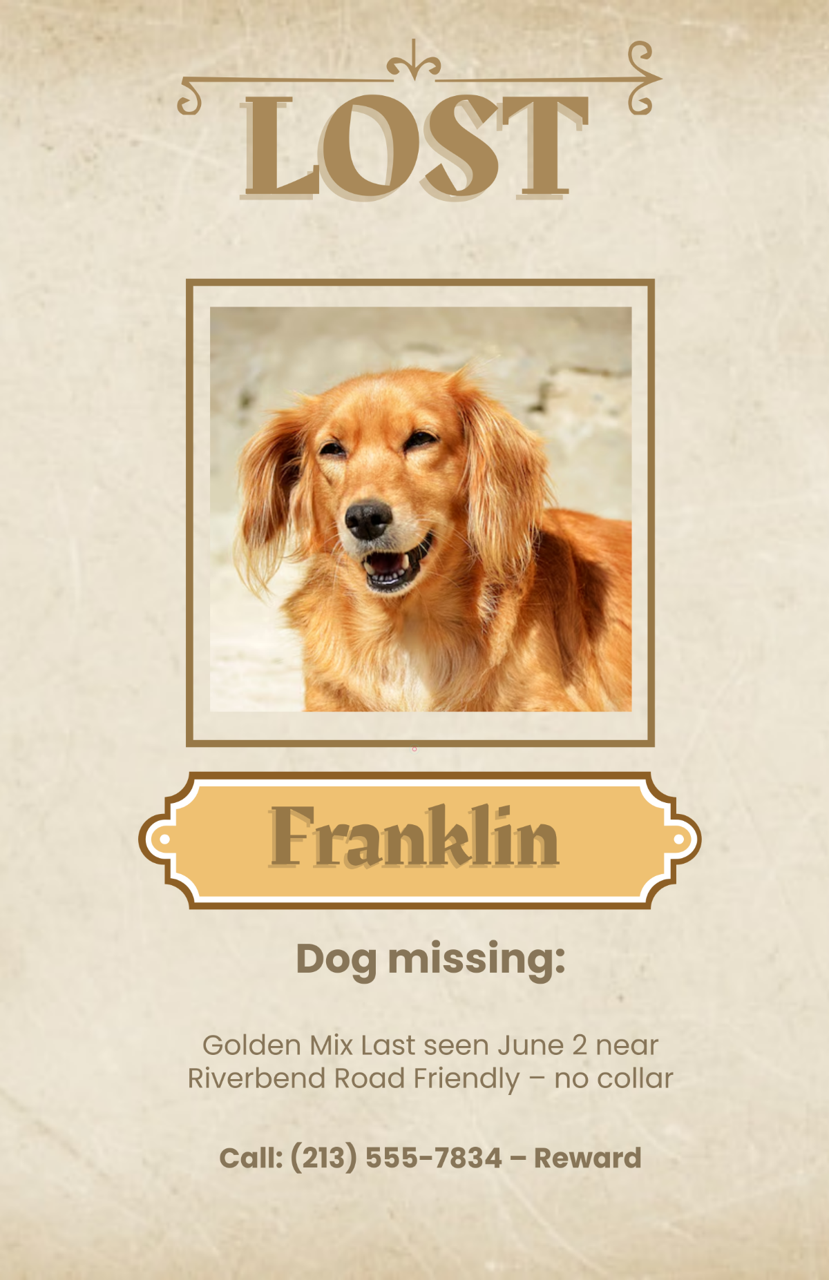 Free Vintage Dog Lost Poster Template