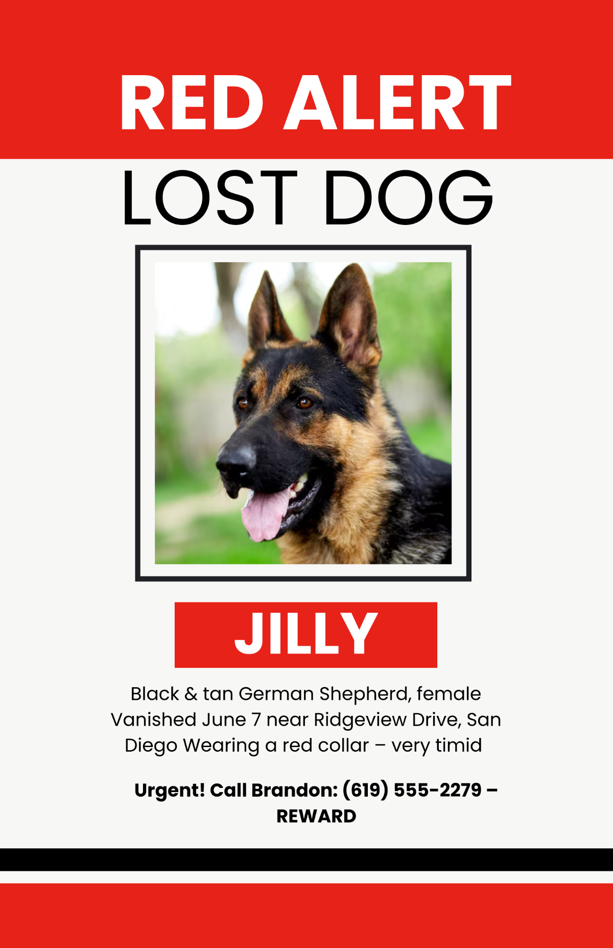 Free Bold Red Alert Lost Dog Poster Template