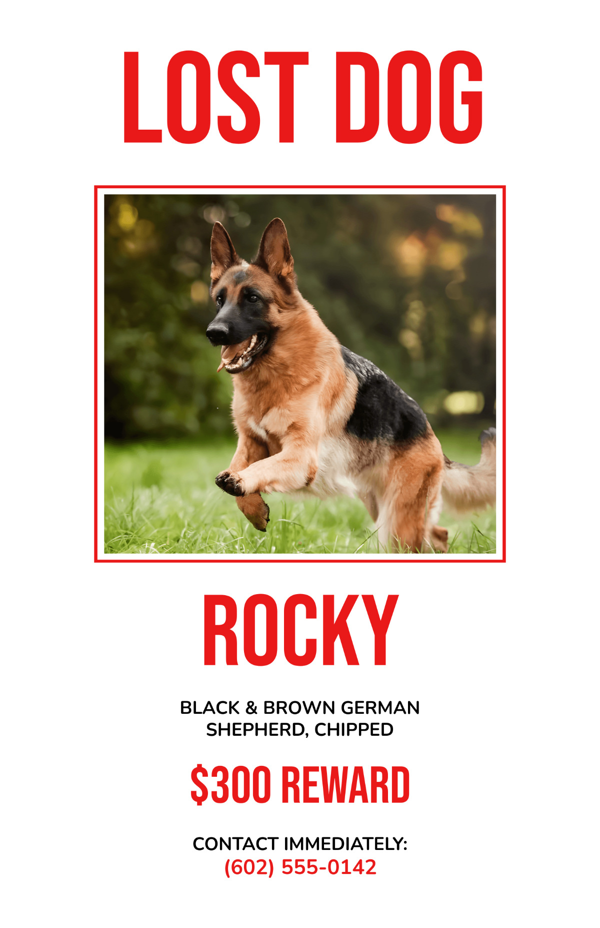 Free Dog Lost Reward Poster Template
