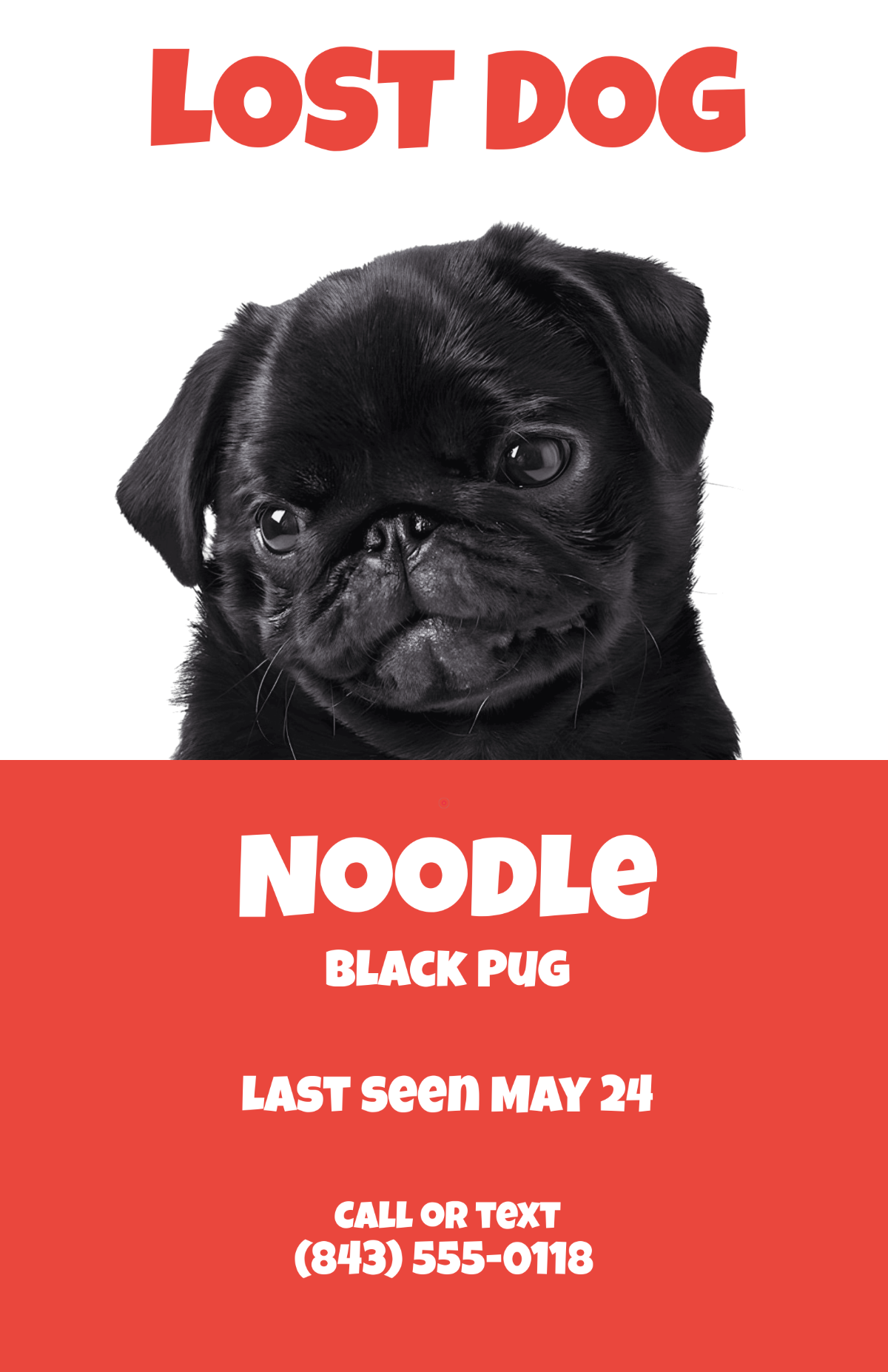 Free Funny Lost Dog Poster Template