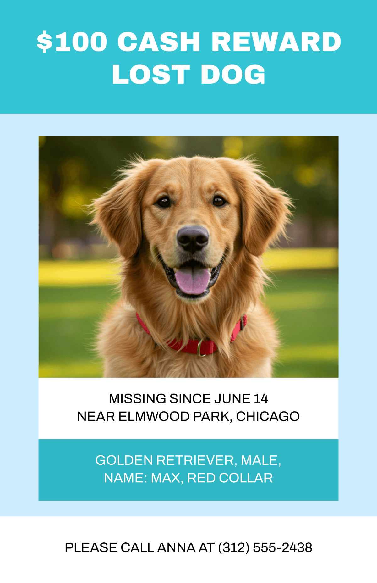 Free Cash Reward Lost Dog Poster Template