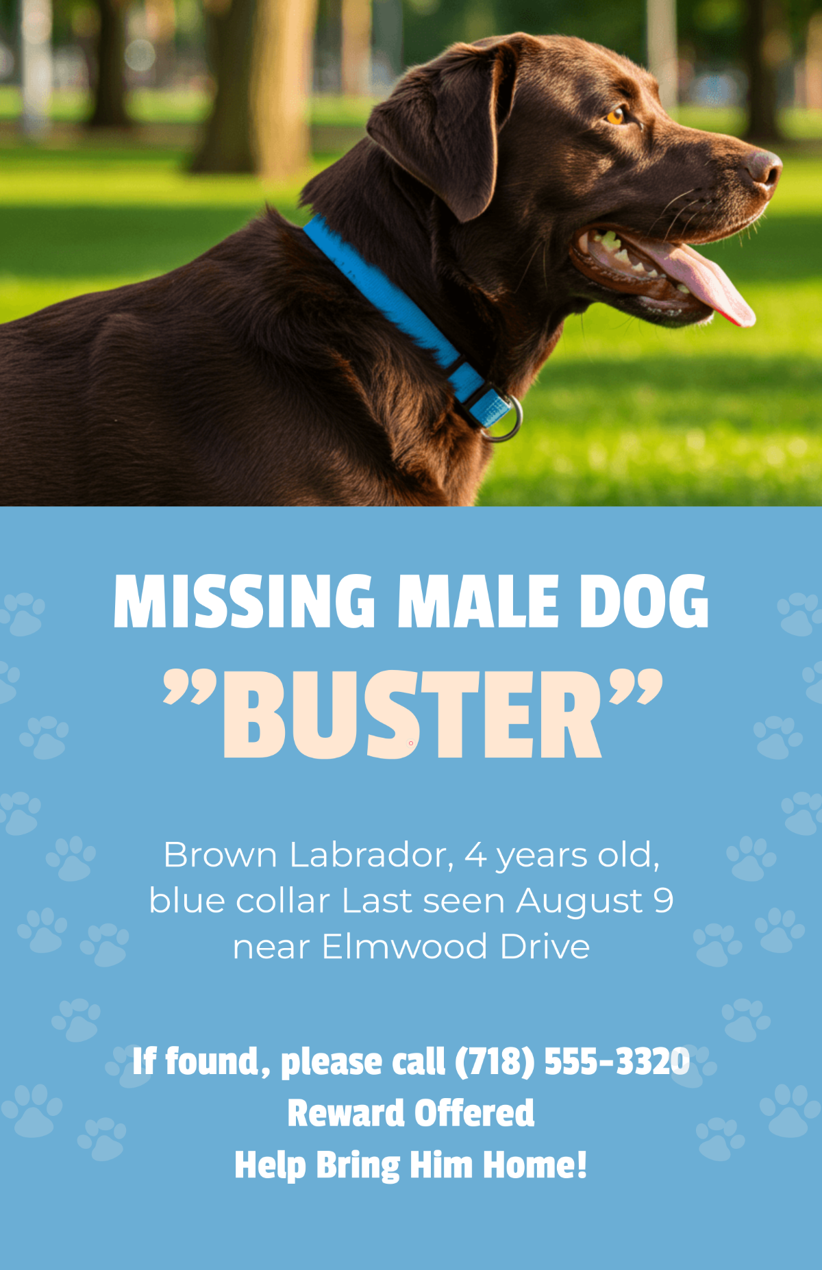 Free Blue Male Dog Lost Poster Template