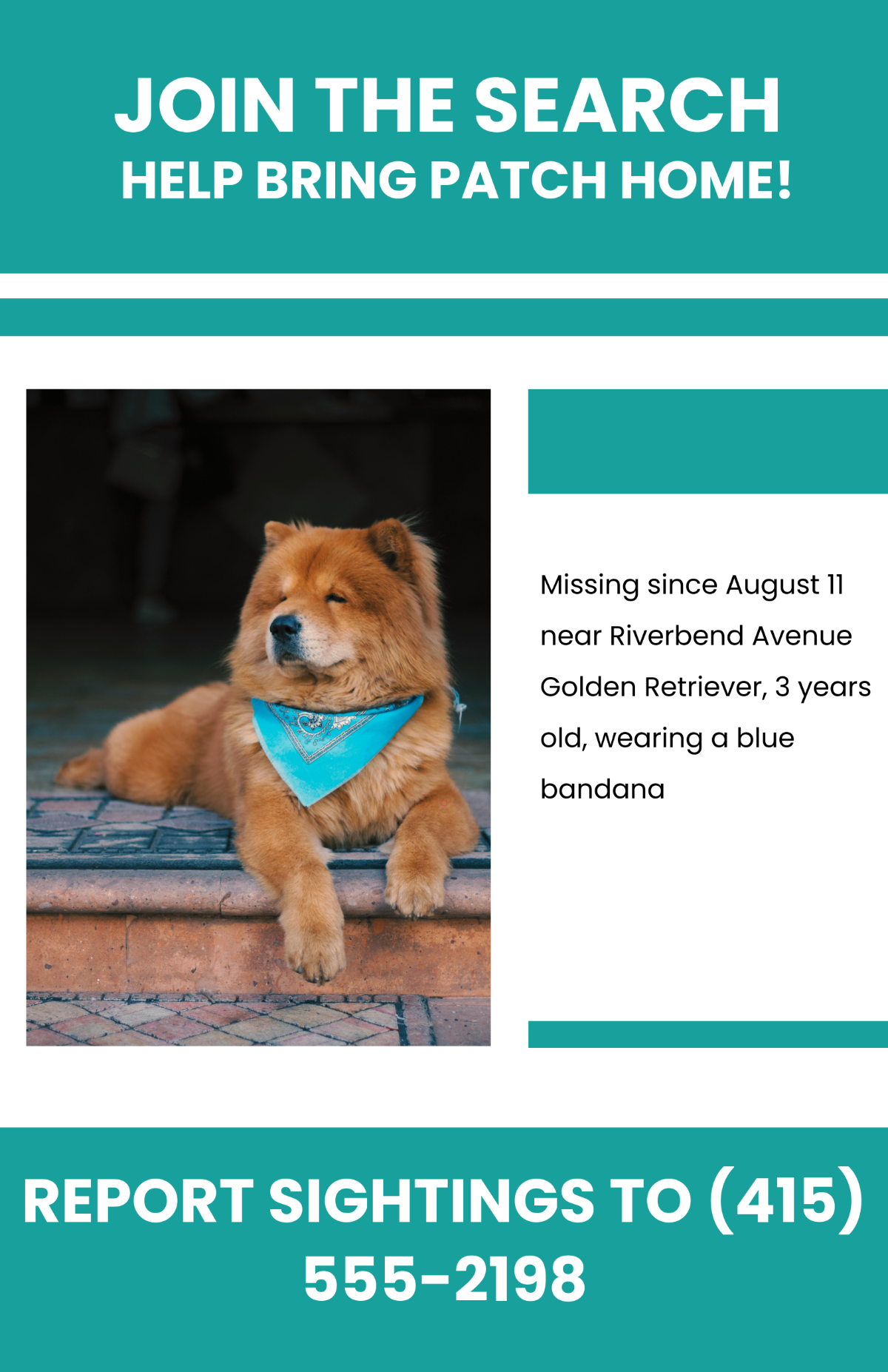 Free Printable Lost Dog Campaign Poster Template to Edit Online