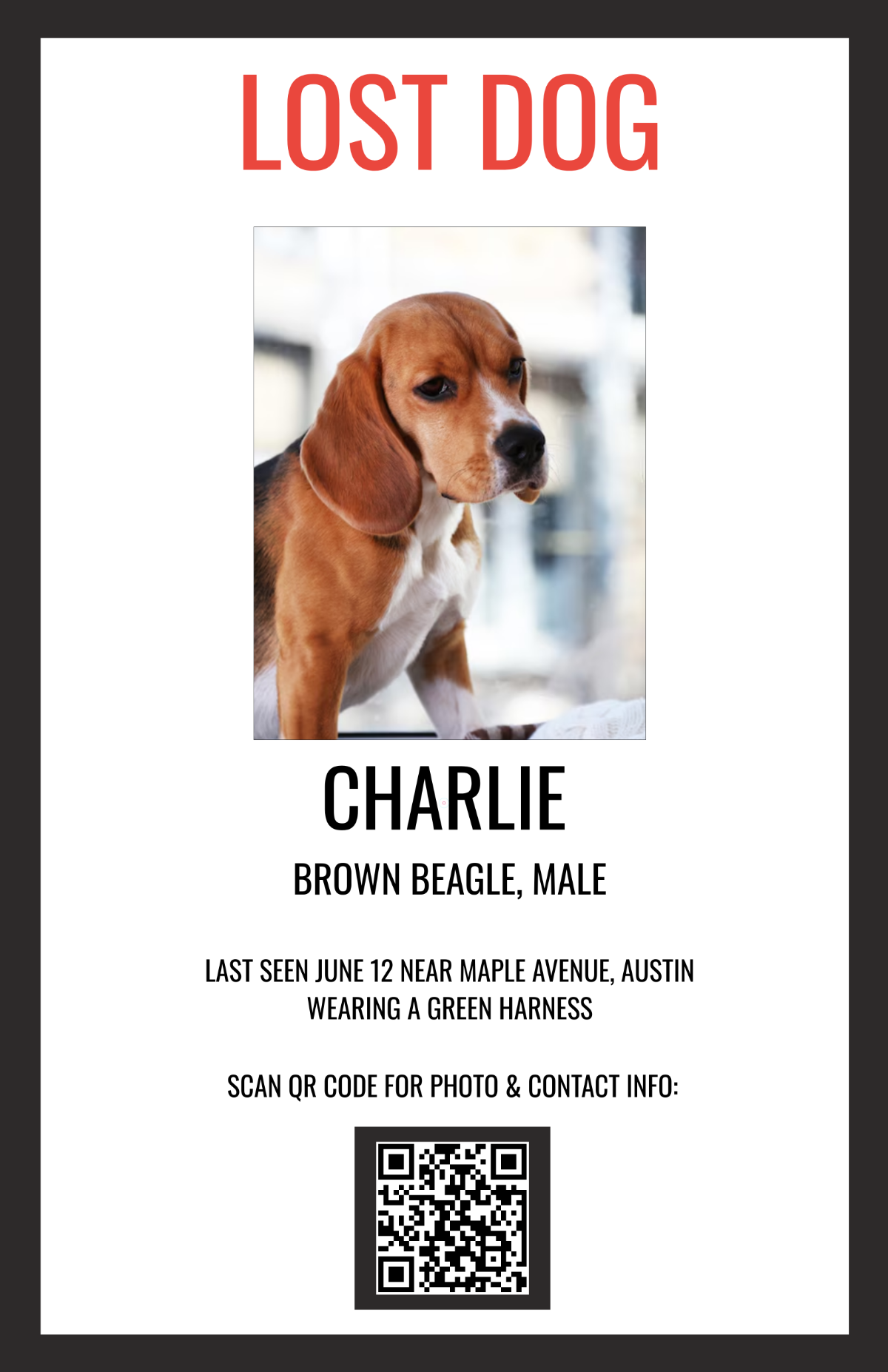 Free Lost Dog Poster with QR Code Template