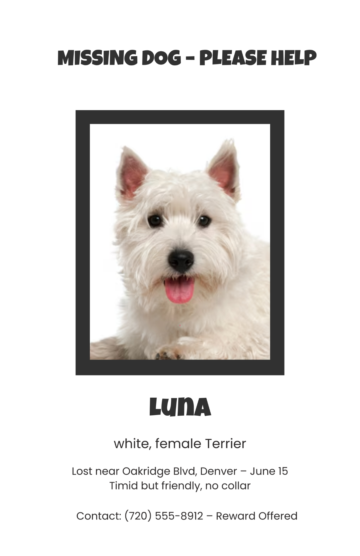 Free White Plain Dog Lost Poster Template
