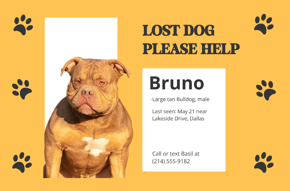 Free Landscape Lost Dog Poster Template