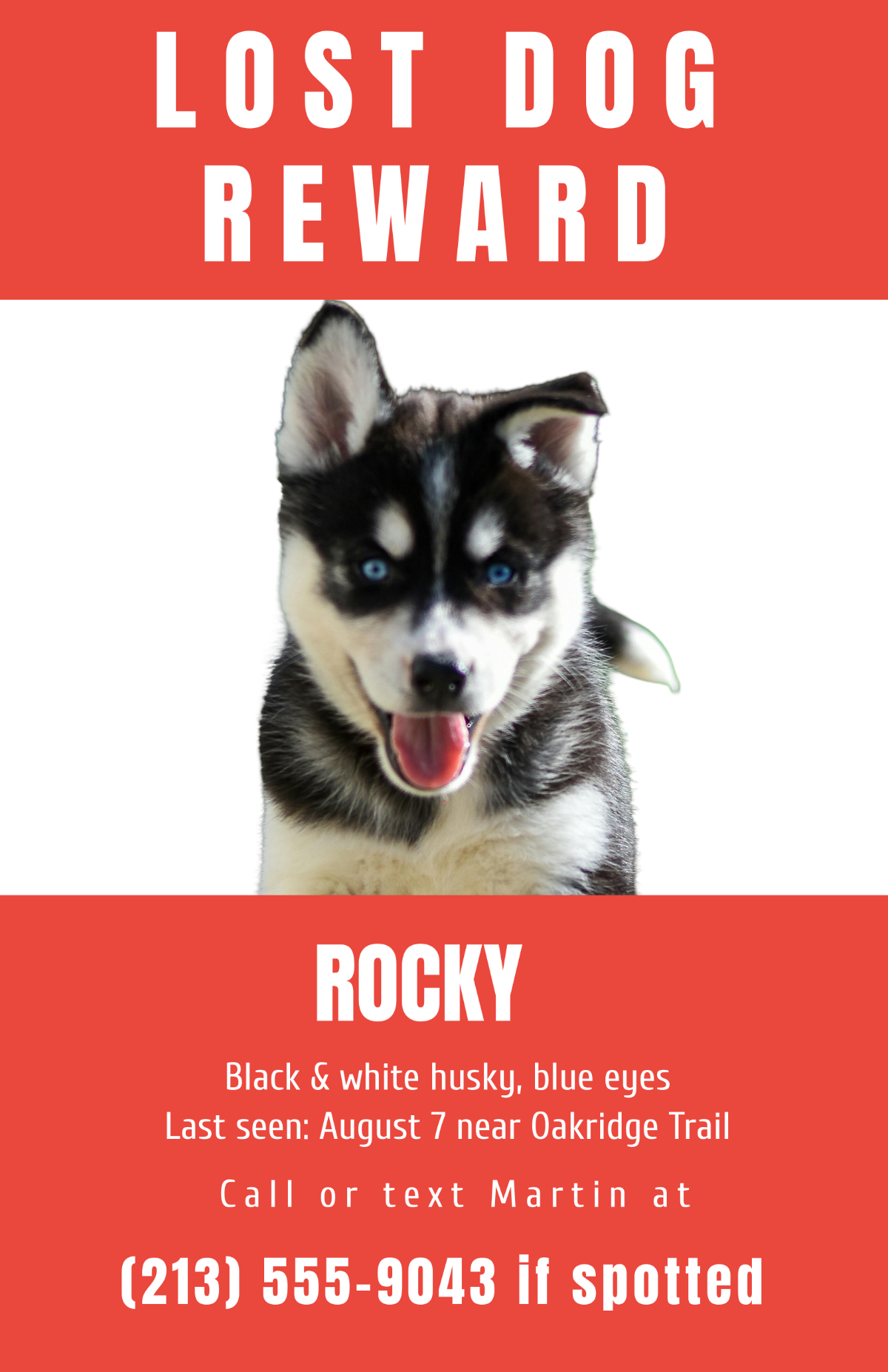 Free Photocentric Lost Dog Poster Template