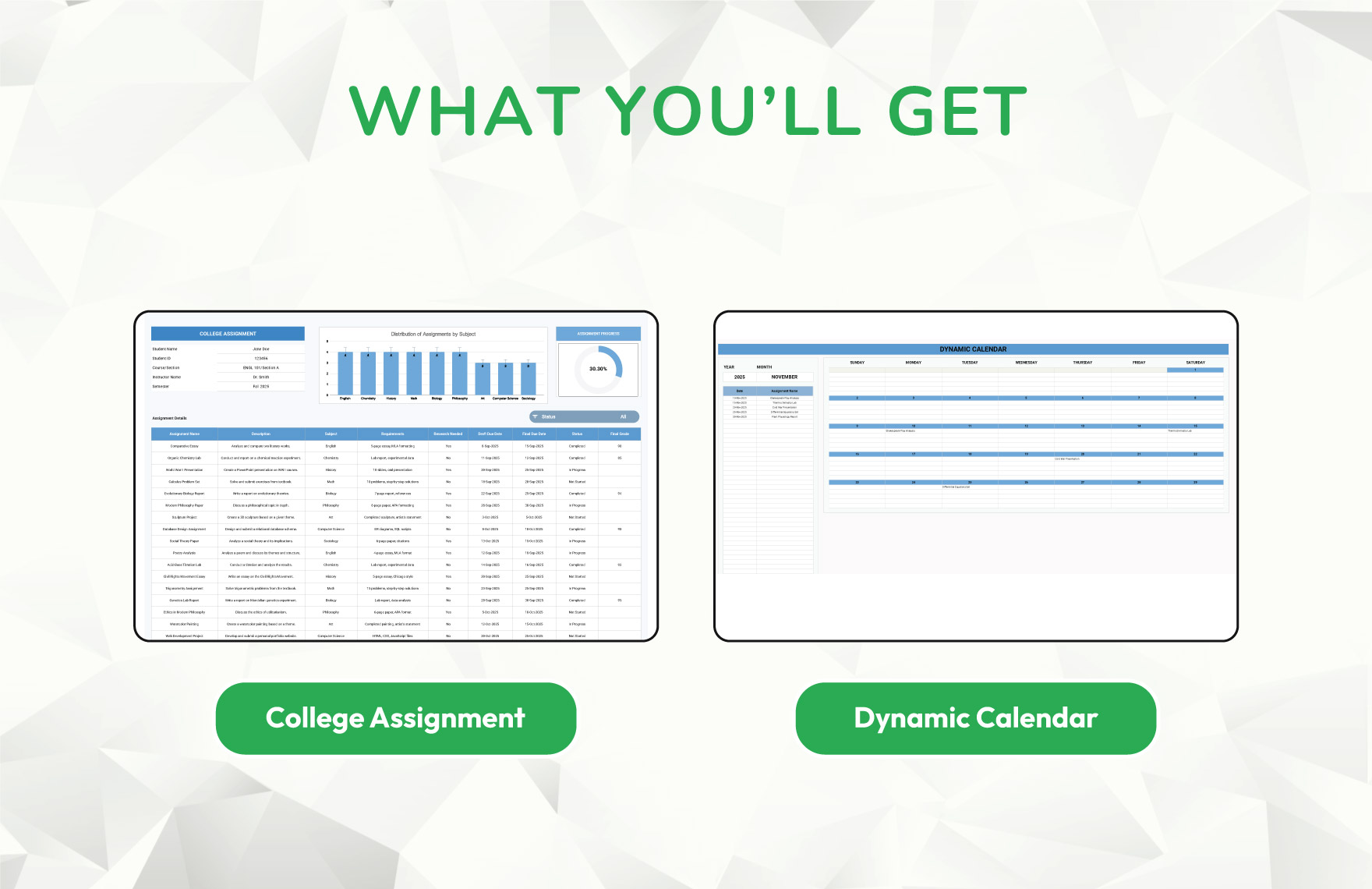 College Assignment Template