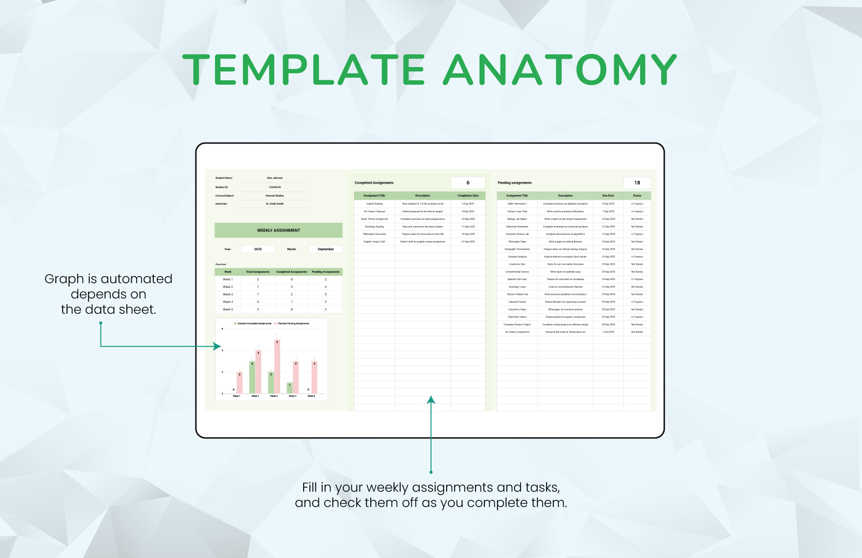 Weekly Assignment Template