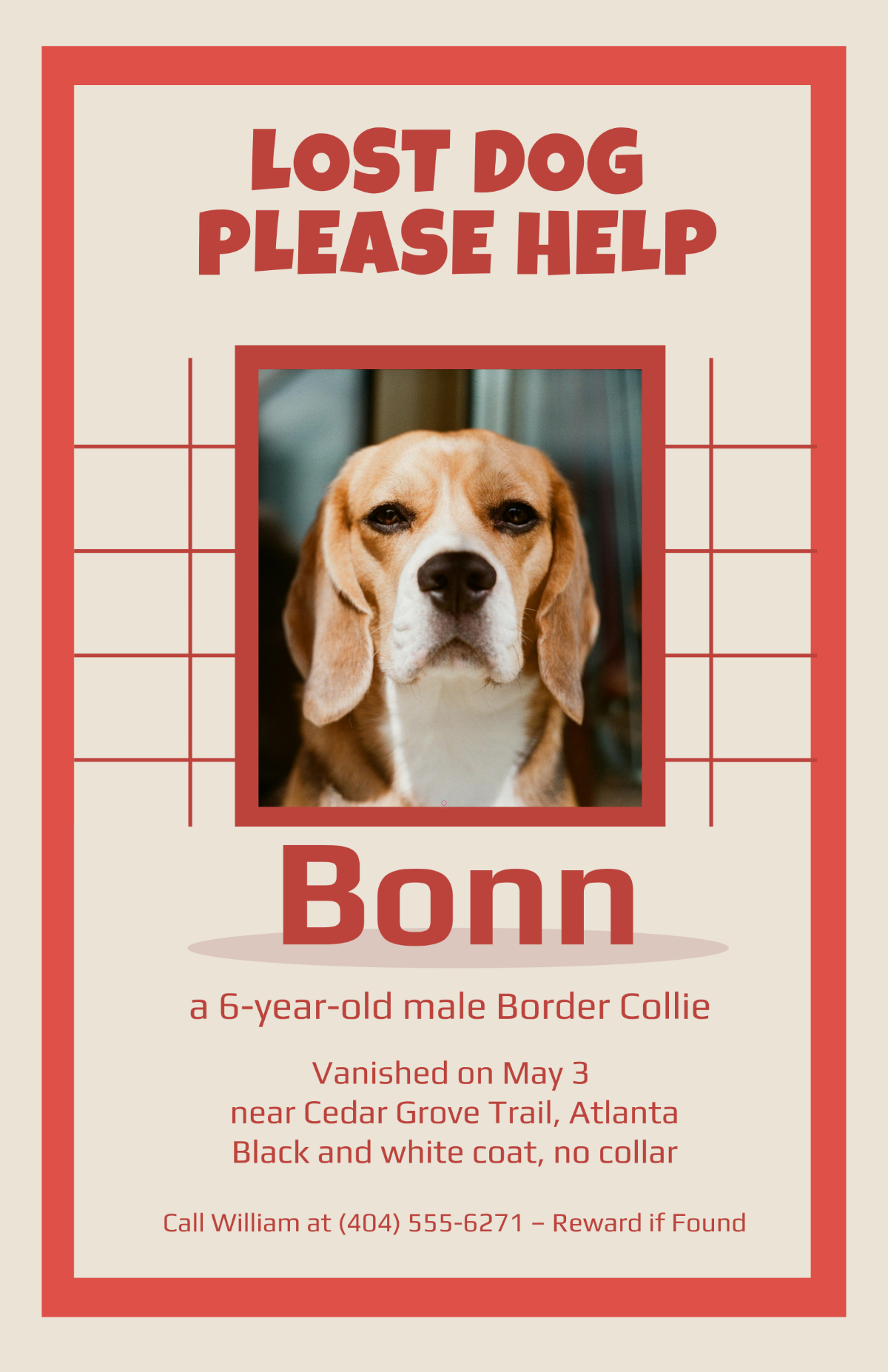 Free Aesthetic Lost Dog Poster Sign Template
