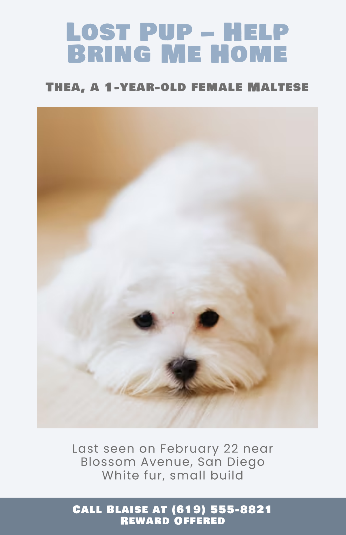 Free Pastel Cute Lost Dog Poster Template