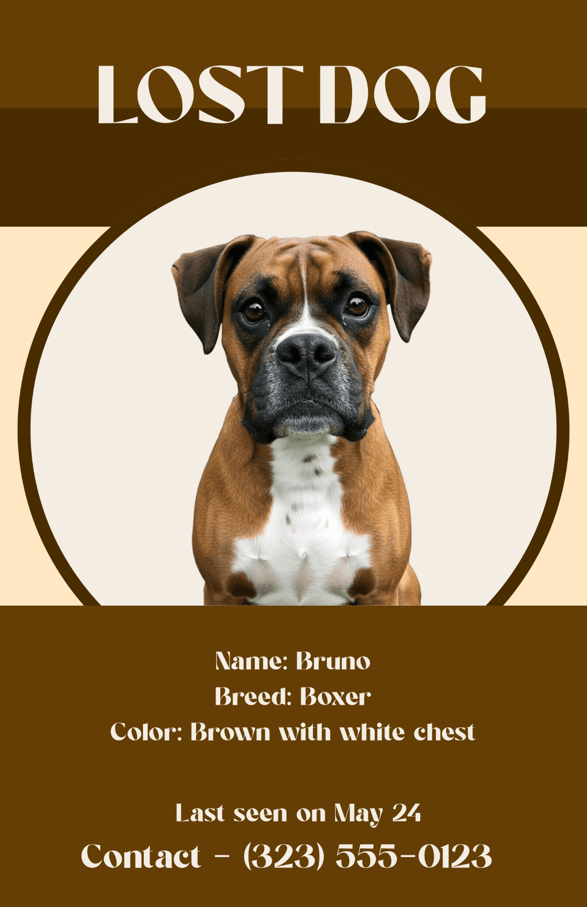 Free Informative Lost Dog Editable Poster Template