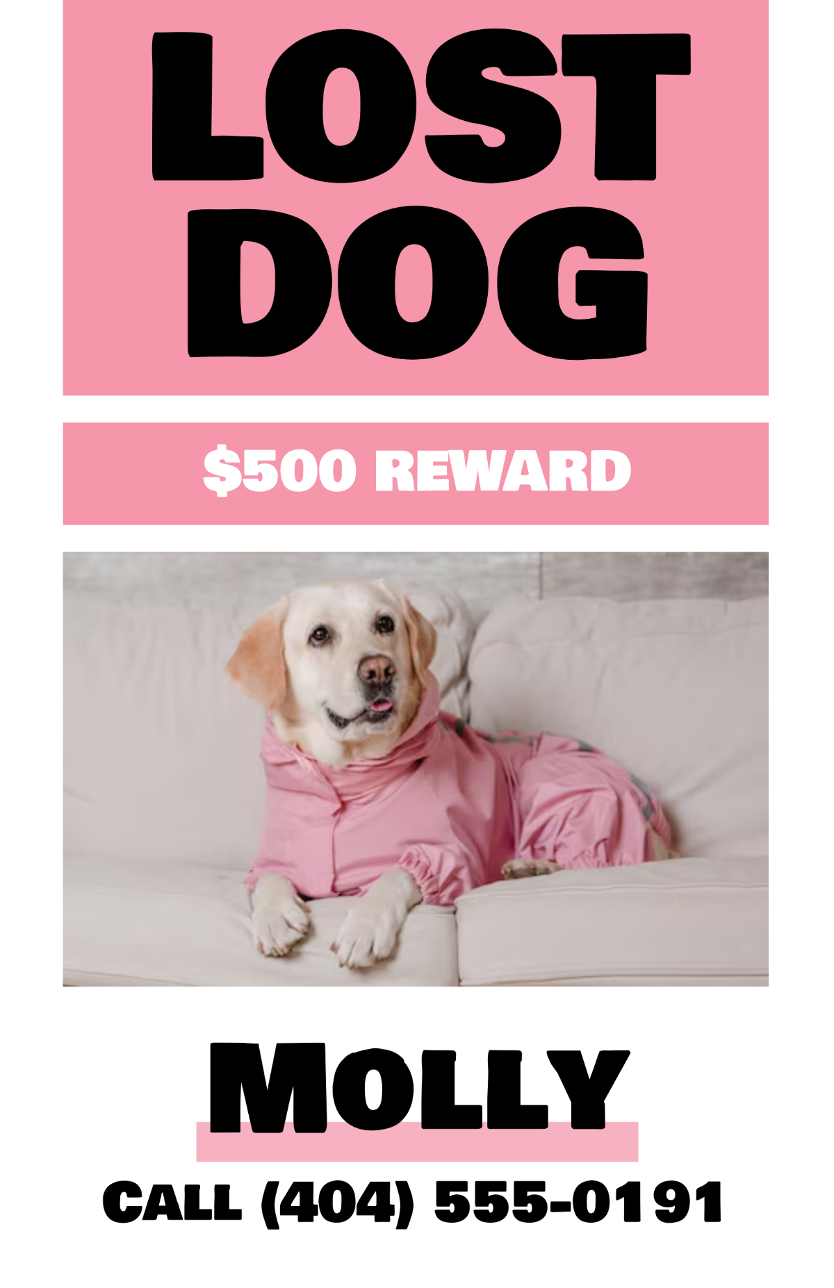 Free Lost Dog with Reward Poster Template